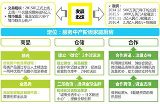 2016中國生鮮電商行業報告 易果生鮮異軍突起的擔保模式與市場影響